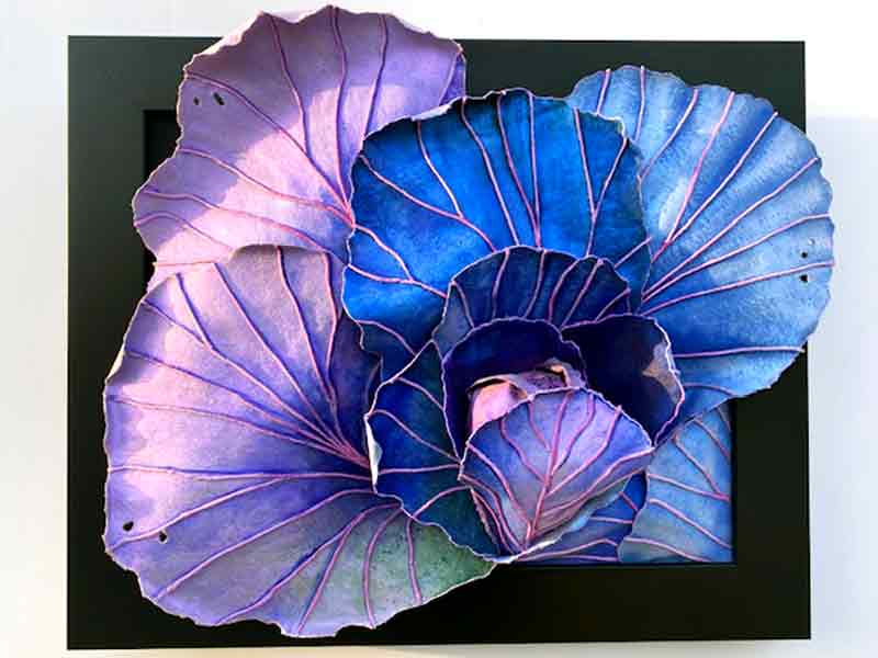 Young Blue Cabbage